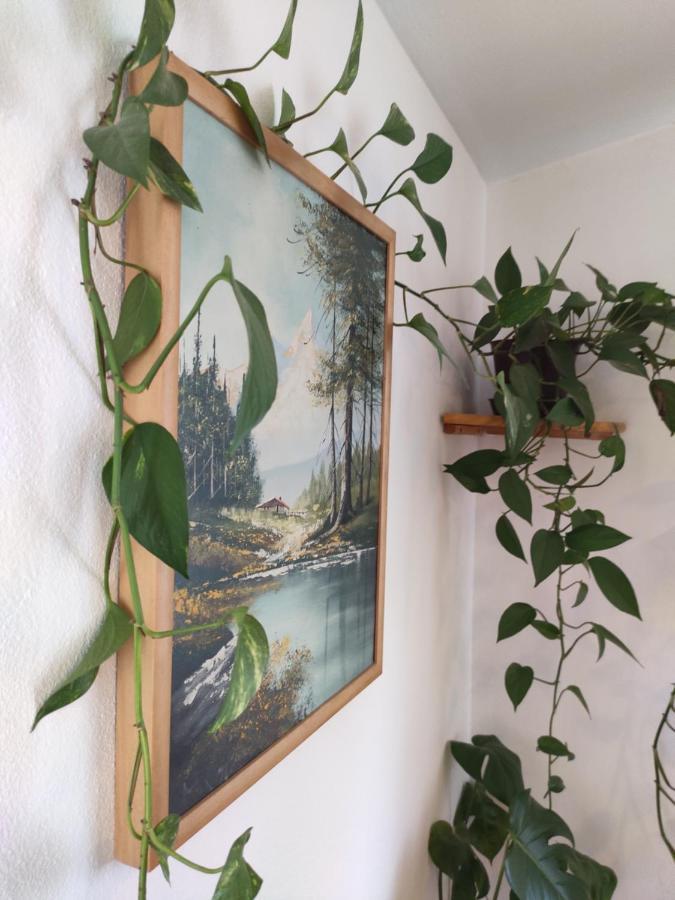 Vila Kuca Za Odmor Tri Sunca Pula Exteriér fotografie